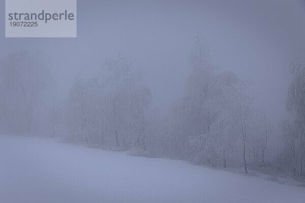 Winter im Erzgebirge