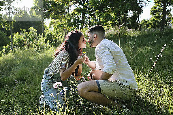 Liebevolles Paar  das sich küsst und im Park auf dem Gras hockt