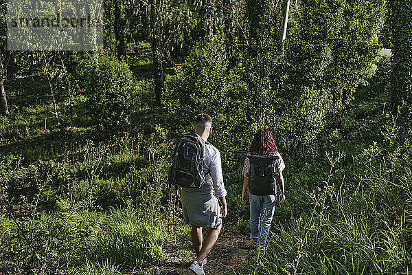 Man and woman exploring forest at sunny day