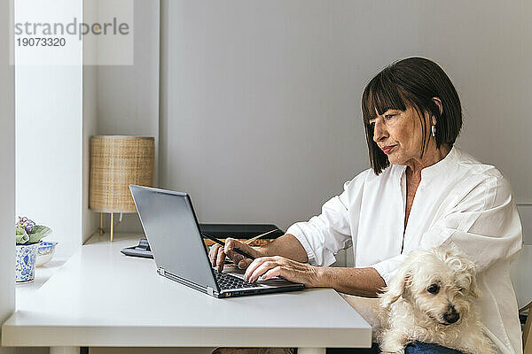 Leitender Freiberufler arbeitet am Laptop und sitzt mit Hund zu Hause