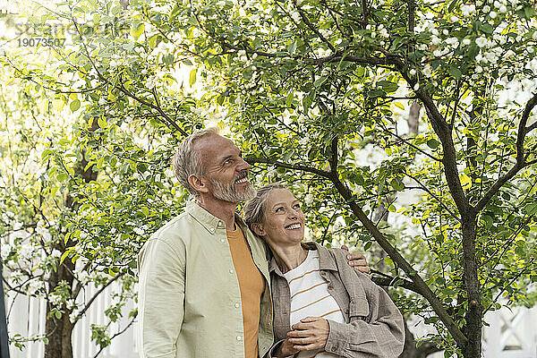Happy couple looking up standing under tree