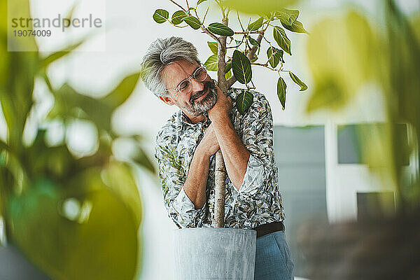 Geschäftsmann umarmt Pflanze im Büro