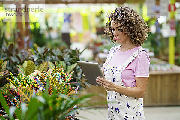 Konzentrierter Florist arbeitet an einem Tablet-PC und steht neben Pflanzen in der Gärtnerei
