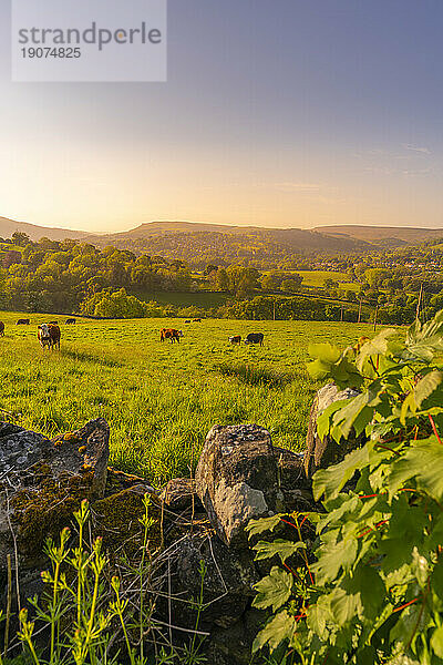Blick auf die Landschaft in Richtung Hope Village im Frühling  Peak District National Park  Derbyshire  England  Vereinigtes Königreich  Europa