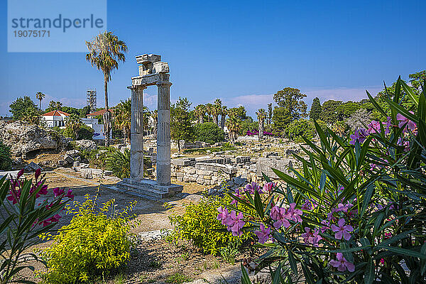 View of Ancient Agora  Kos Town  Kos  Dodecanese  Greek Islands  Greece  Europe