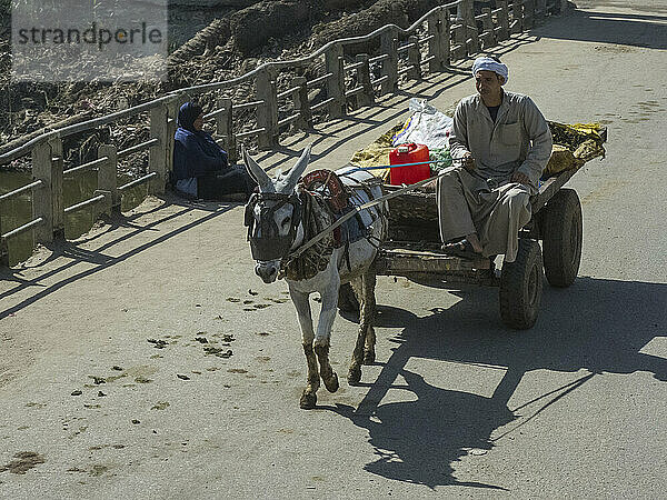 Mann auf einem Eselskarren in der Nähe der Memphite-Nekropole  UNESCO-Weltkulturerbe  Ägypten  Nordafrika  Afrika