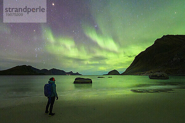 Mann mit Rucksack bewundert die leuchtend grünen Lichter der Aurora Borealis (Nordlichter) vom Strand von Haukland  Lofoten  Nordland  Norwegen  Skandinavien  Europa