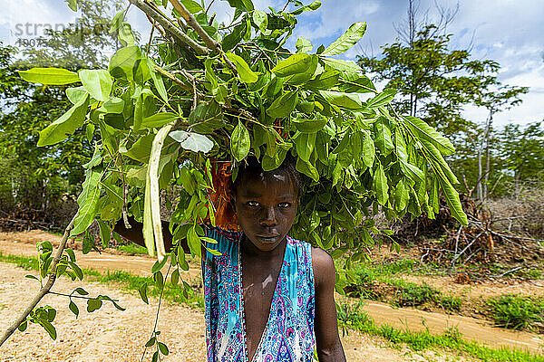 Girl carrying leaves back home  Northern Cameroon  Africa