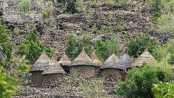 Traditional huts on the border of Nigeria  Northern Cameroon  Africa
