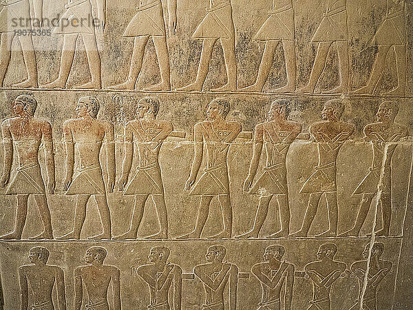 Relief from a tomb in Saqqara  part of the Memphite Necropolis UNESCO World Heritage Site  Egypt  North Africa Africa