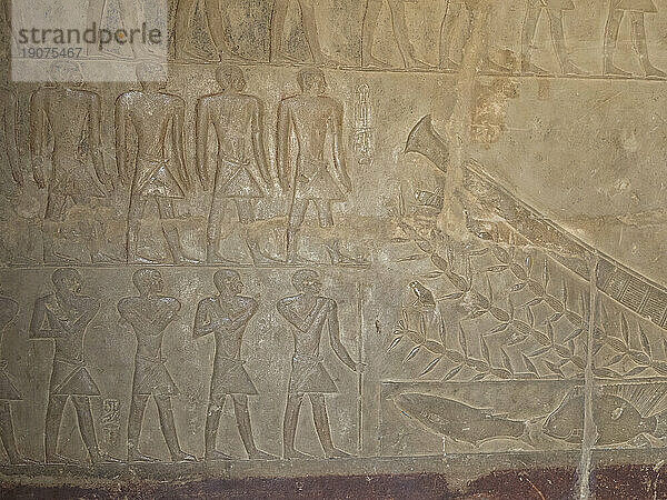 Relief from a tomb in Saqqara  part of the Memphite Necropolis  UNESCO World Heritage Site  Egypt  North Africa Africa