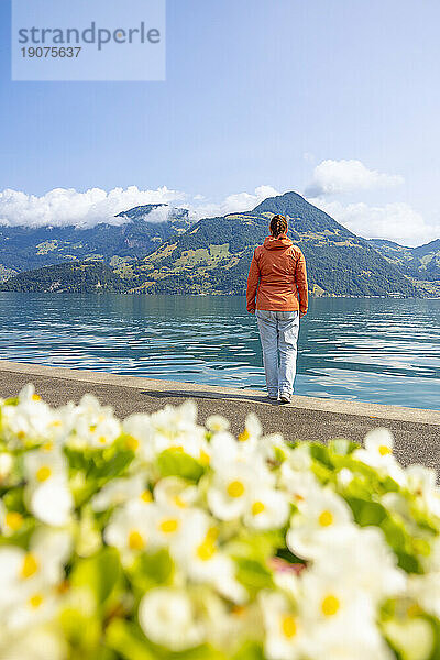 A tourist admires the beautiful Lake of the Four Cantons on a sunny day  Beckenried  Canton of Nidvaldo  Switzerland  Europe