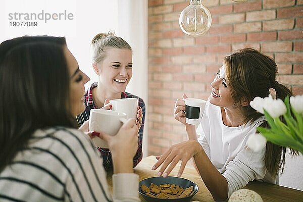 Lachende Mädchen  die Tee trinken und sich unterhalten