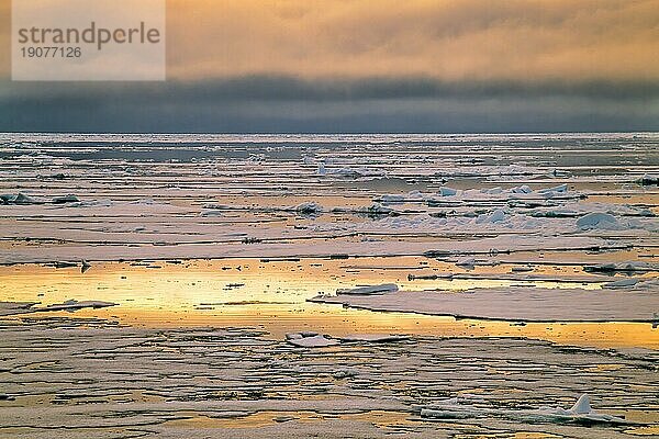 Treibeis auf dem Meer im mitternächtlichen Sonnenlicht im arktischen Ozean  Svalbard  Norwegen  Europa