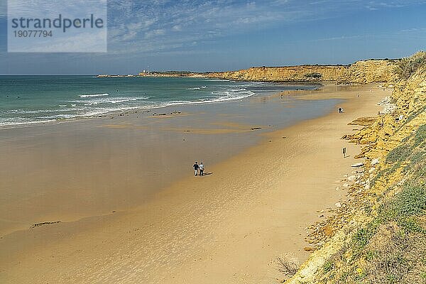 Der Strand Fuente de Gallo  Conil de la Frontera  Costa de la Luz  Andalusien  Spanien  Europa