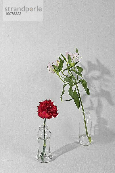 Blüte Blumen Vase Tisch 8