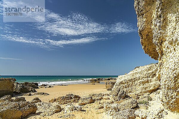 Die Strandbuchten Calas de Roche bei Conil de la Frontera  Costa de la Luz  Andalusien  Spanien  Europa