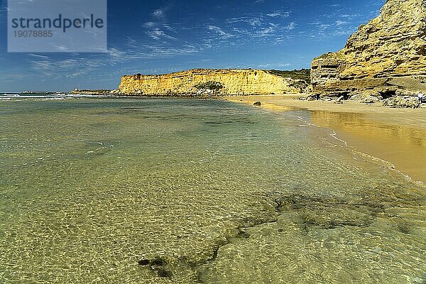 Der Strand Fuente de Gallo  Conil de la Frontera  Costa de la Luz  Andalusien  Spanien  Europa