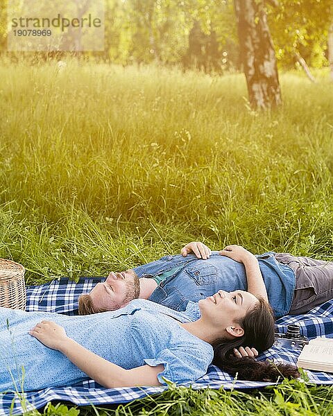 Junges attraktives Paar entspannt Picknick Natur