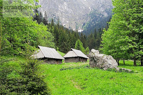 Strazynska Tal  ruhige Landschaft in der Tatra  Polen  Europa