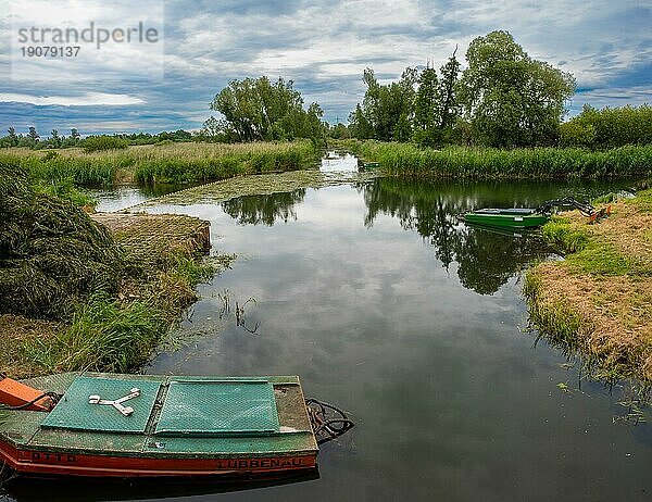 Spree bei Lübbenau  Brandenburg  Deutschland  Europa