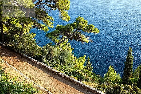 Weg entlang der Adriaküste im Süden Kroatiens  in der Nähe von Dubrovnik