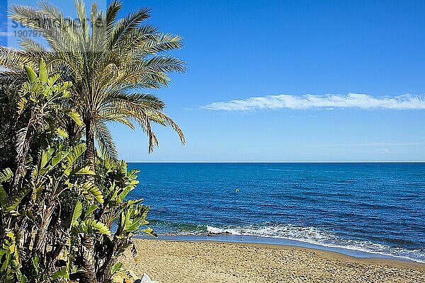 Malerische  ruhige Kulisse eines Sandstrandes und des Mittelmeers in Marbella  Region Andalusien  Costa del Sol  Spanien  Europa