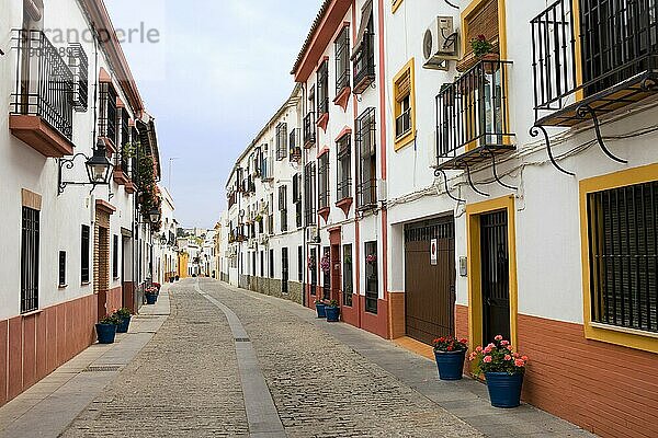 Traditionelle Wohnarchitektur in einer ruhigen  malerischen Straße in der Altstadt von Cordoba in Andalusien  Spanien  Europa
