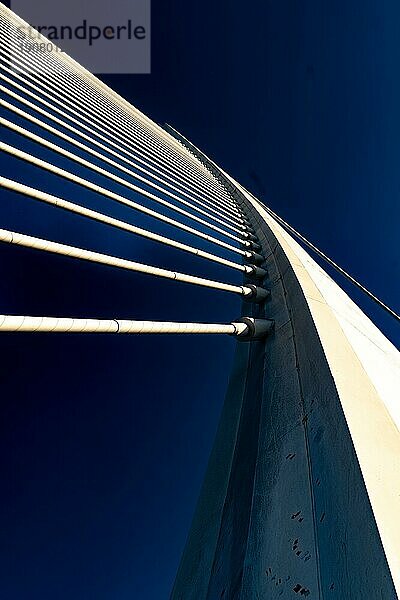 Cuitat de les Arts i les Ciences  moderne Architektur  Drahtseilbrücke  Valencia  Spanien  Europa