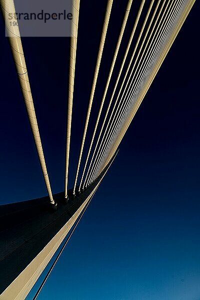 Cuitat de les Arts i les Ciences  moderne Architektur  Drahtseilbrücke  Valencia  Spanien  Europa