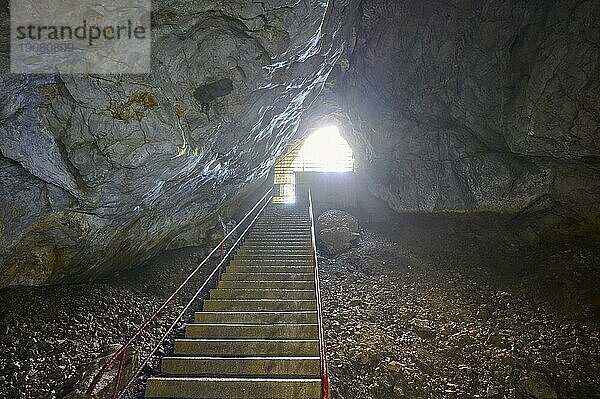 Karsthöhle  Treppe  Ausgang  Krizna jama  Cerknica  Carniola  Slowenien  Europa