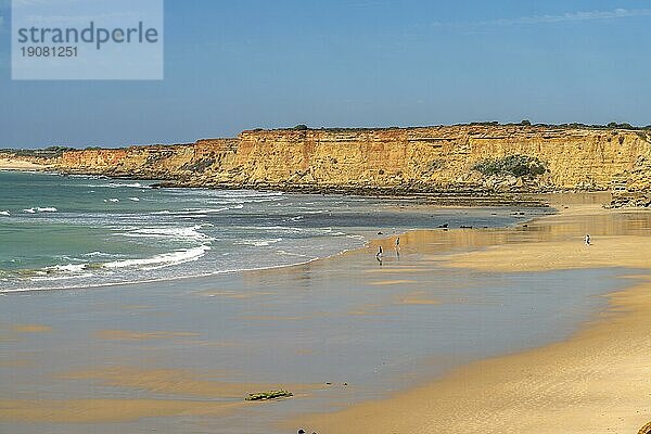 Der Strand Fuente de Gallo  Conil de la Frontera  Costa de la Luz  Andalusien  Spanien  Europa