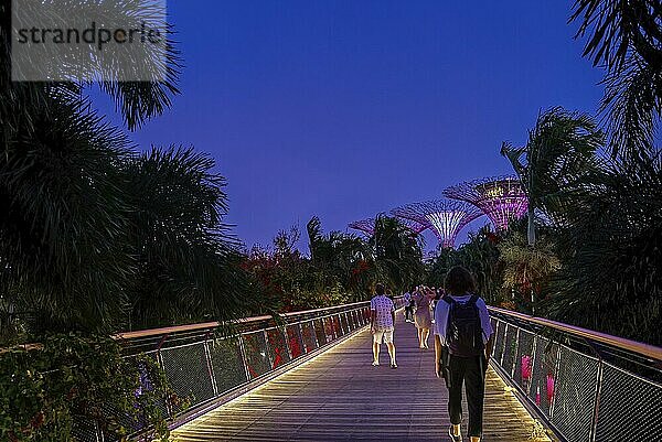 Nicht erkennbare erwachsene Touristen  die über die Dragonfly Brücke auf die ikonischen Supertrees zugehen  um die tägliche abendliche Licht und Musikshow in den Gardens by the Bay  Singapur  zu erleben. Tropische Dämmerung  farbenfrohe Supertree Bäume. beleuchtete Brücke. Unterbelichtet  wenig Licht  Asien