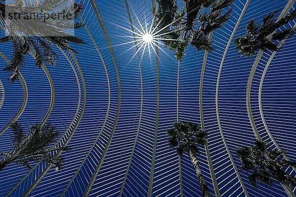 Umbracle  Palmenhaus  Cuitat de les Arts i les Ciences  moderne Architektur  Valencia  Spanien  Europa