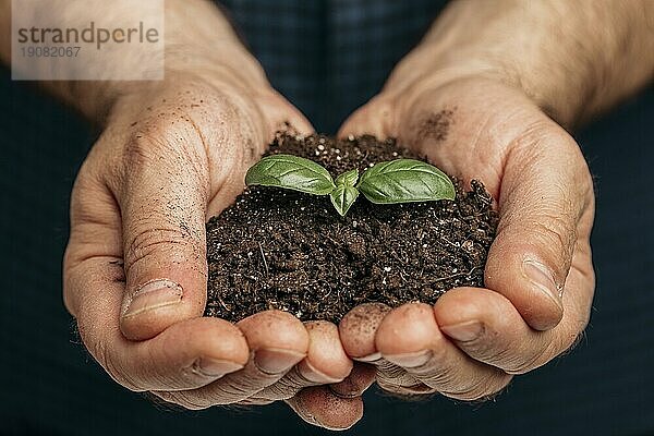 Vorderansicht männliche Hände halten Erde wachsende Pflanze