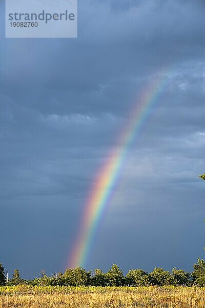 Regenbogen am Partwitzer See  Elsterheide  Landkreis Oberspreewald-Lausitz Elsterheide  Sachsen  Deutschland  Europa