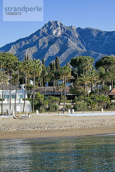 Strand in der Urlaubsstadt Marbella in Spanien  Costa del Sol  Region Andalusien