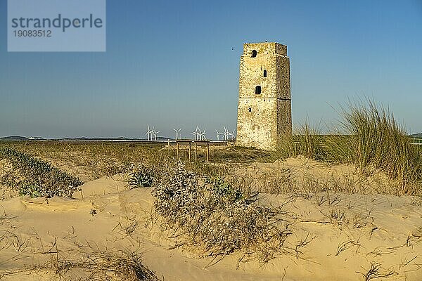 Der Turm Torre Vigía de Castilnovo am Strand Playa de Castilobo  Conil de la Frontera  Costa de la Luz  Andalusien  Spanien  Europa