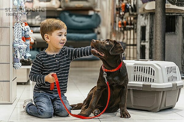 Niedlicher brauner Hund in der Tierhandlung