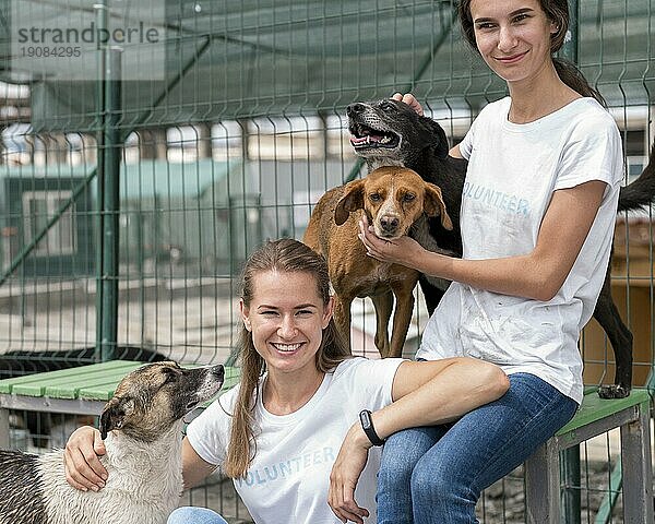 Lächelnde Frau verbringt Zeit mit süßen Rettungshunden im Tierheim