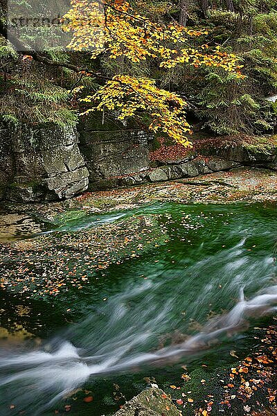 Bach in der ruhigen Herbstlandschaft des Riesengebirges  Karkonosze