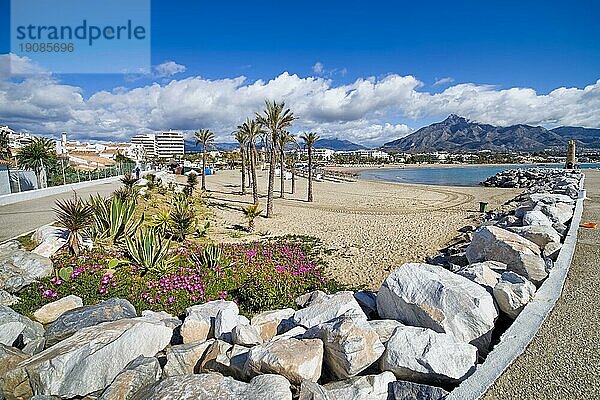 Spanien  Marbella  Puerto Banus  Urlaubskulisse  Strand an der Costa del Sol mit Blumen  Kakteen  Palmen  Europa