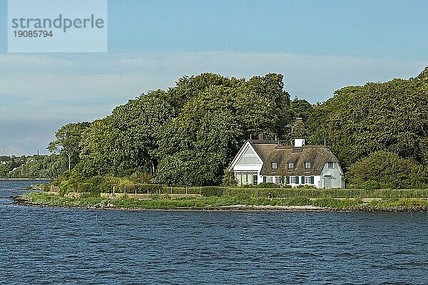 Reetdachhaus am Ufer  Kieler Förde  Schleswig-Holstein  Deutschland  Europa