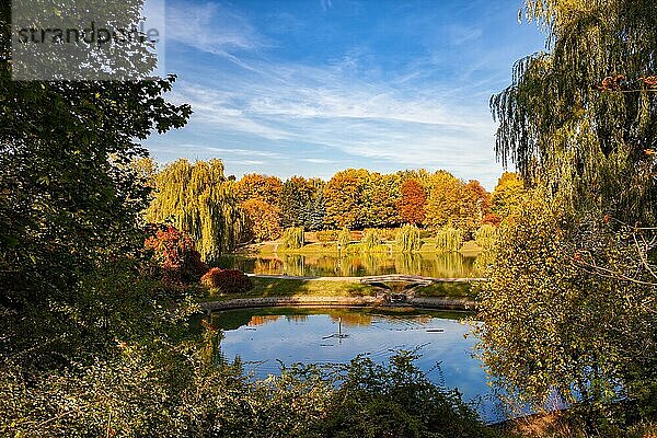Malerischer Moczydlo Park in der Stadt Warschau in Polen  ruhige Herbstlandschaft mit Bäumen und Teichen  Stadtteil Wola