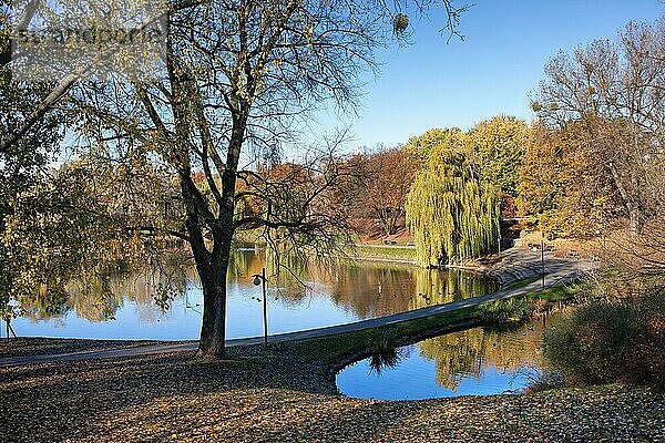 Moczydlo Park ruhige Landschaft im Herbst  Stadt Warschau  Polen  Europa