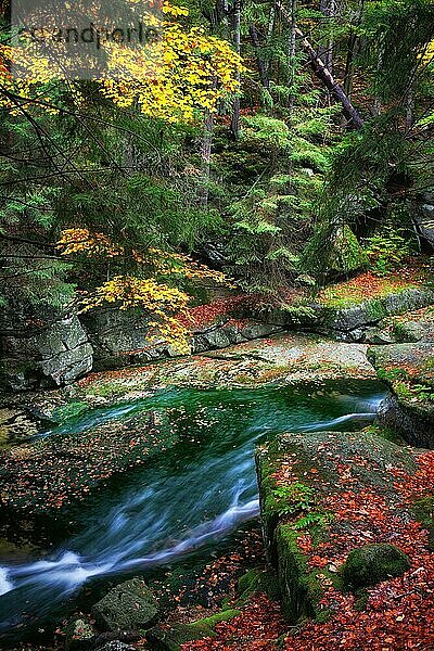 Malerischer Bach in einem ruhigen Herbstwald  Nationalpark Karkonosze (Karkonoski Park Narodowy)  Polen  Europa
