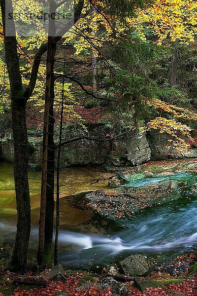 Bach im ruhigen Herbstwald des Nationalparks Riesengebirge (Karkonoski Park Narodowy)  Polen  Europa
