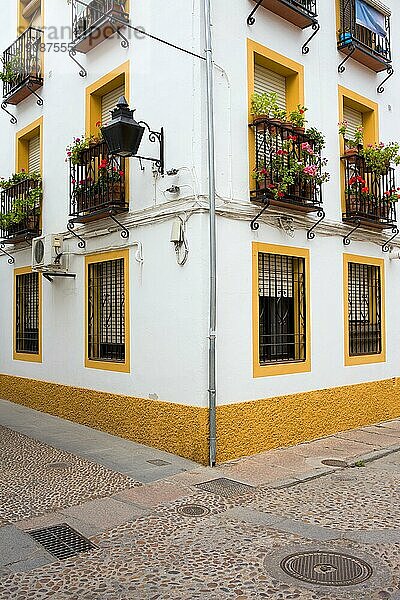 Ecke eines traditionellen andalusischen Hauses in Cordoba  Andalusien  Spanien  Europa