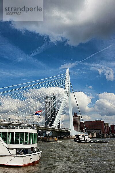 Erasmusbrücke (niederländisch: Erasmusbrug) im Stadtzentrum von Rotterdam  Südholland  Niederlande  Europa