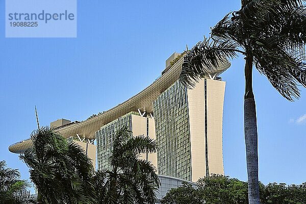 Singapur  25. Februar 2020. Seitliche Ansicht von oben Teil Marina Bay Sands Hotel und Casino hinter Palmen bei klarem blauen Himmel  Singapur. Iconic Wahrzeichen und Haupttouristenattraktion des Stadtstaates in Marina Bay. Starker Wind spielen mit Palmblättern  ewigen Sommer  tropisches Gefühl  Asien